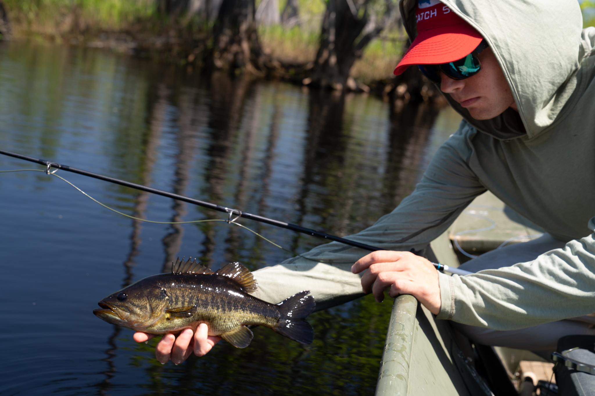 Okefenokee Swampin' on the Fly